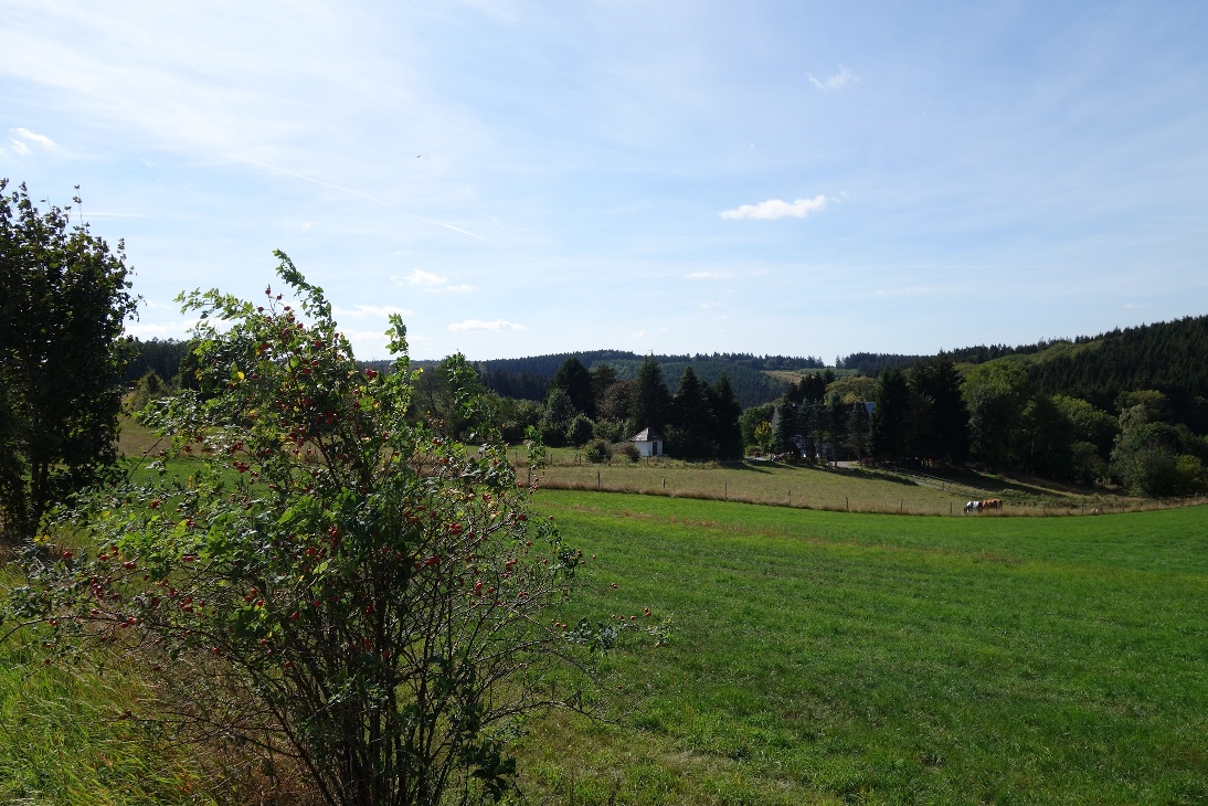 Blick auf die kleine Siedlung Holt