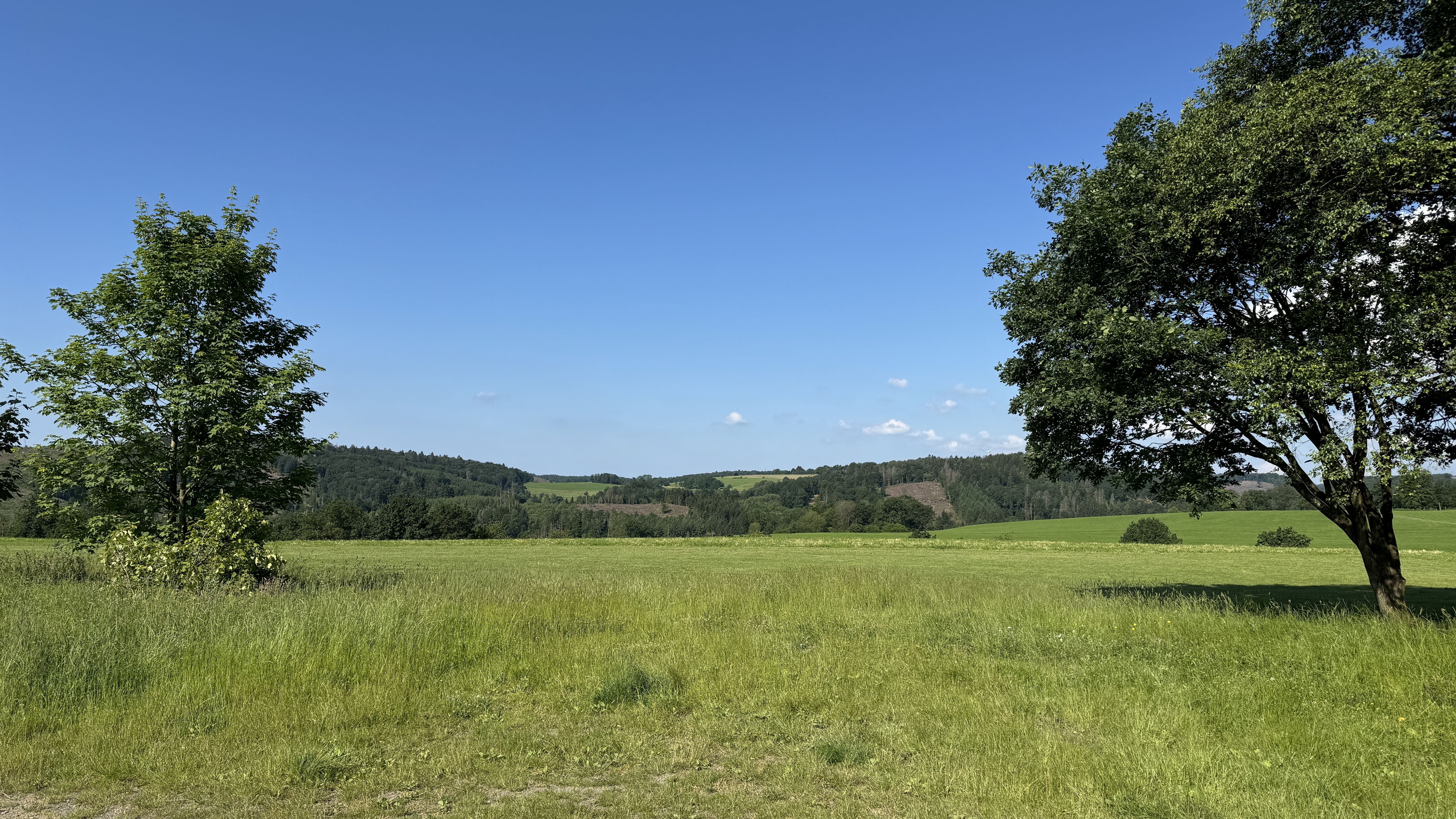 20240624 Wanderparkplatz Wilkenberg (5).jpeg