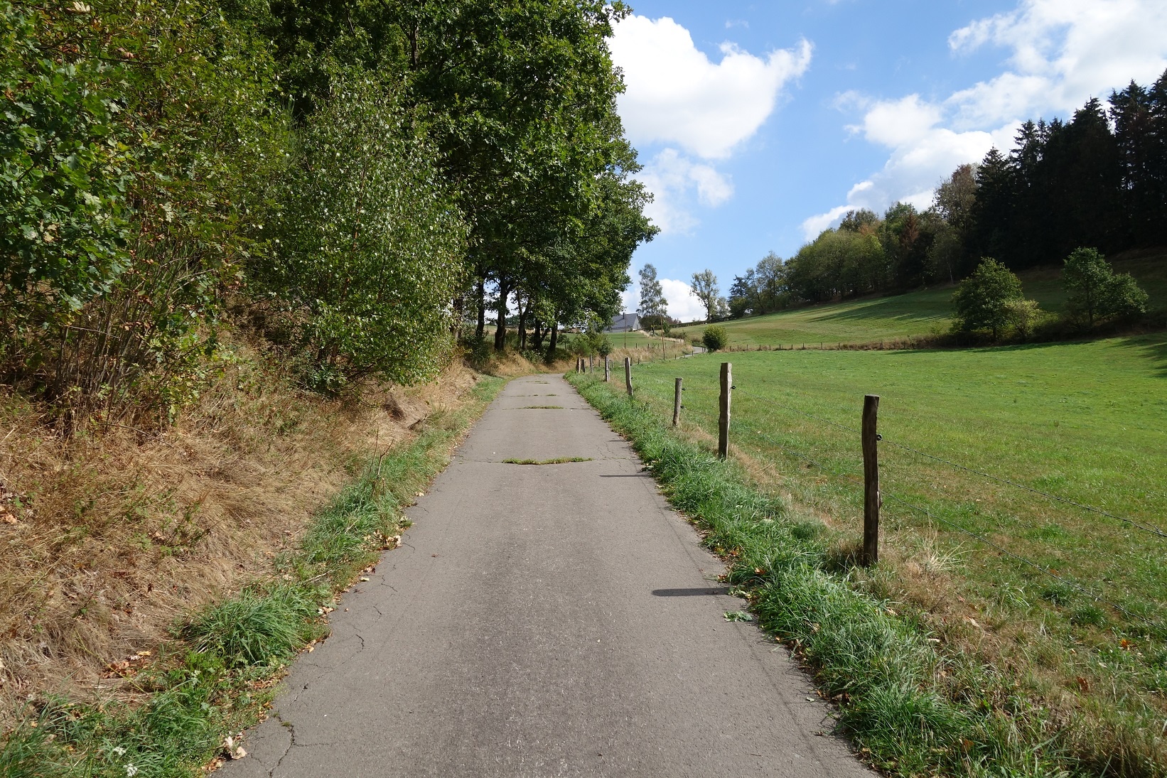 Hinauf in Richtung Eseloh Hinauf in Richtung Eseloh