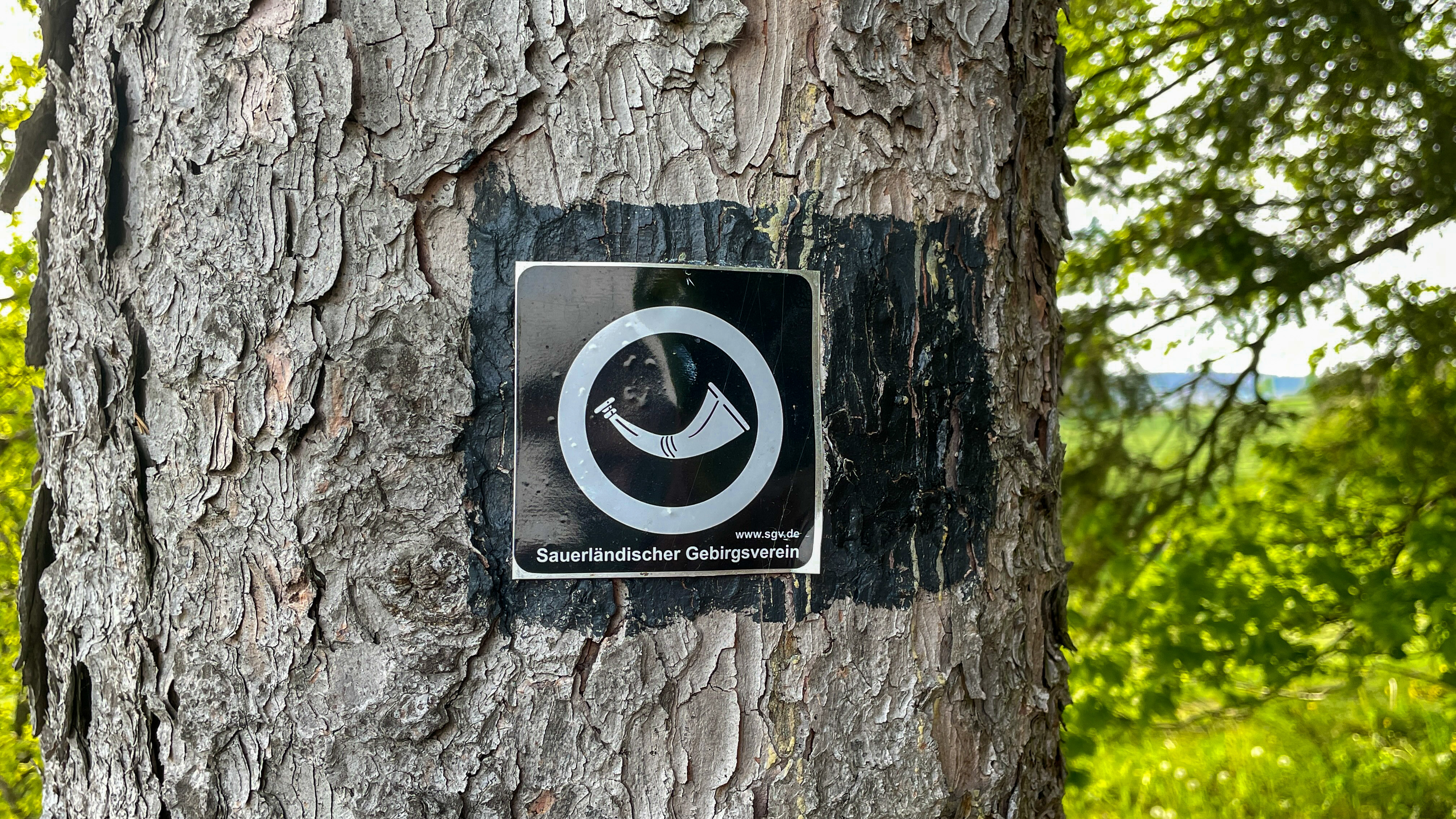 20220512_Jagdhornweg_Valbert (19).jpeg