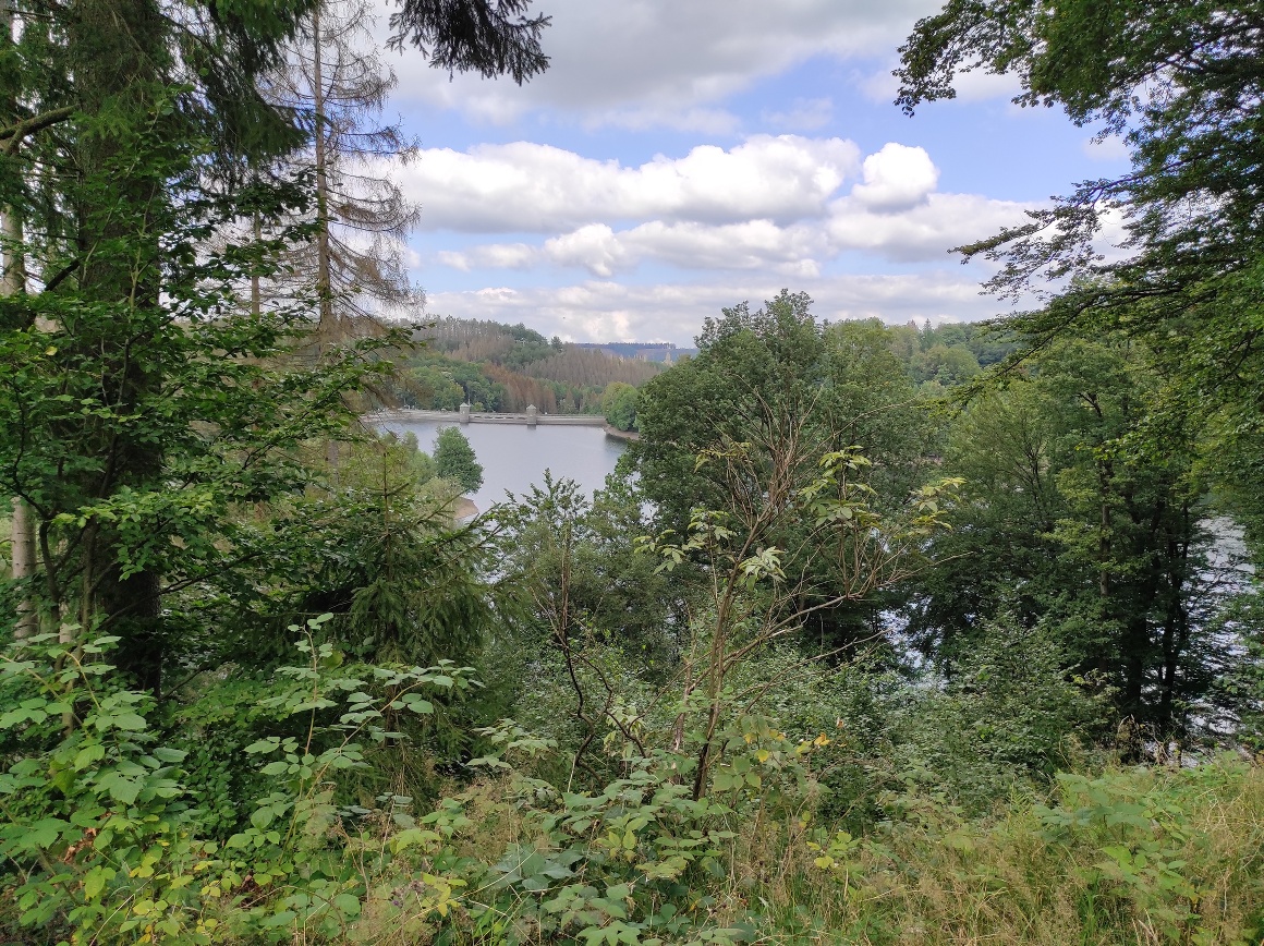 Blick von oben auf die idyllische Fürwiggetalsperre Blick von oben auf die idyllische Fürwiggetalsperre
