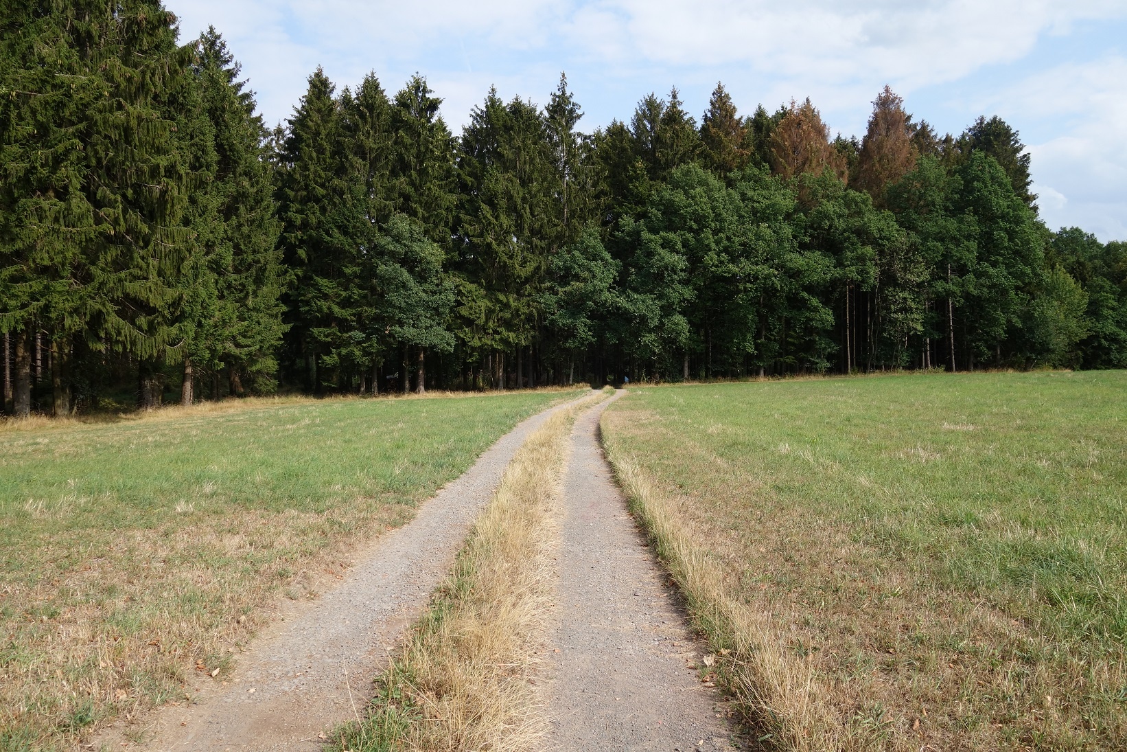 Wegesabschnitte zwischen Felder und Wäldern