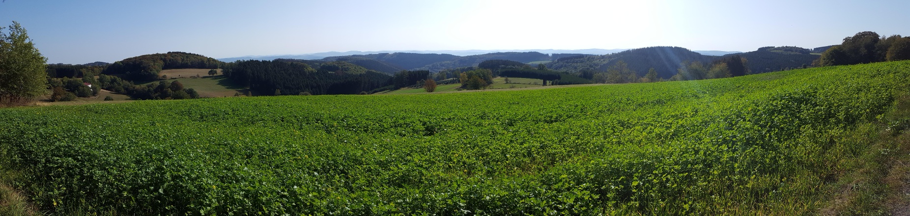 MTB Bergziegen Tour MTB Bergziegen Tour