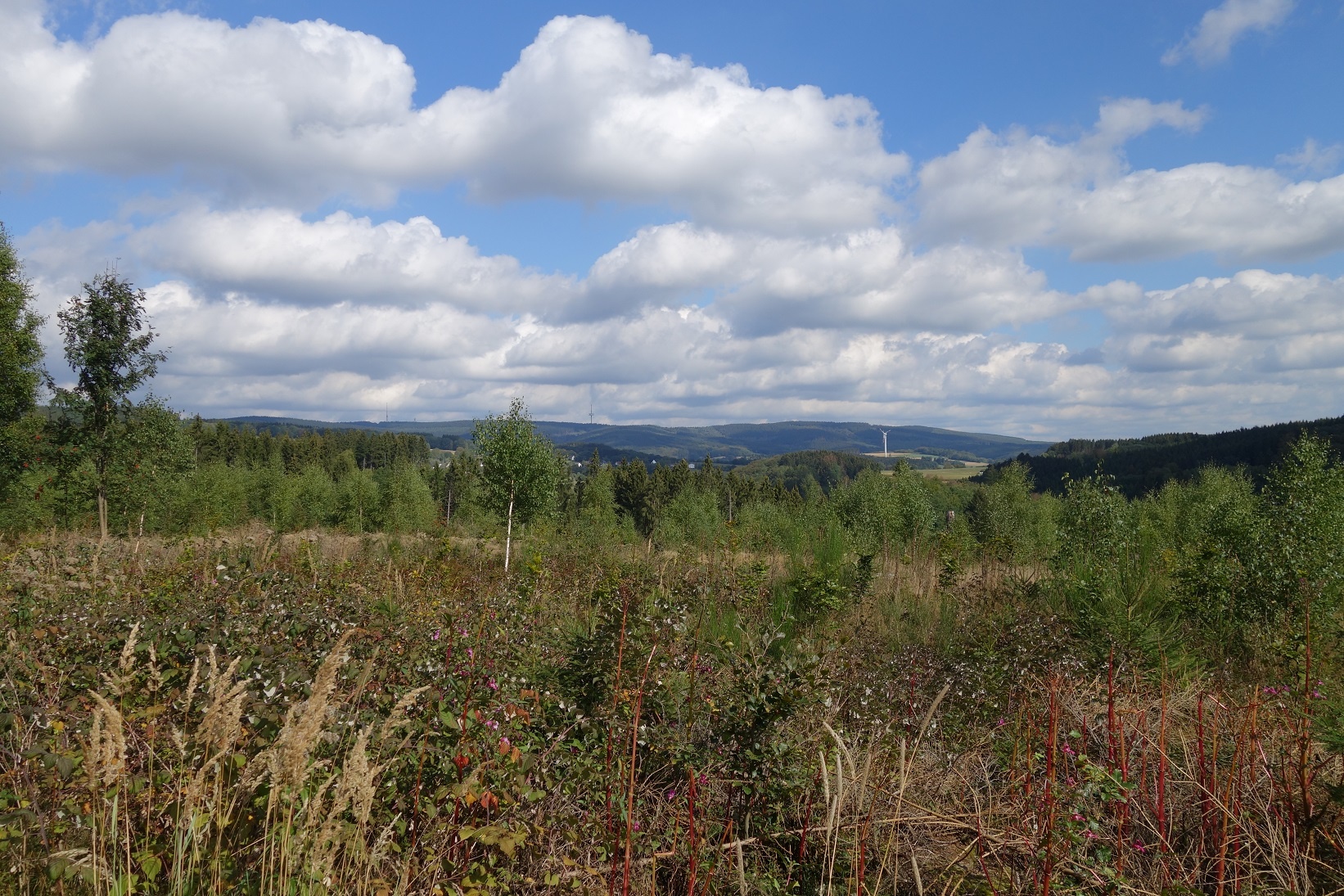 Fantastische Fernsicht in Richtung Nordhelle und Ebbegebirge Fantastische Fernsicht in Richtung Nordhelle und Ebbegebirge
