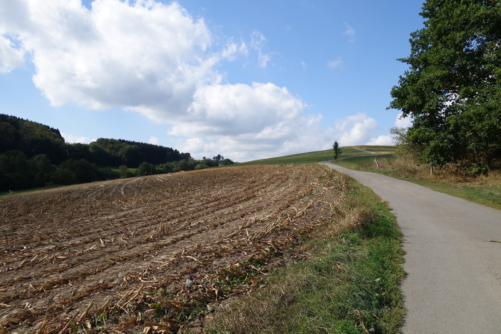 Zwischen Wiesen und Feldern geht es hinab in Richtung Ihne