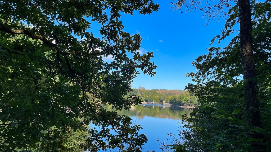 Blick auf die Staumaer der Fürwiggetalsperre