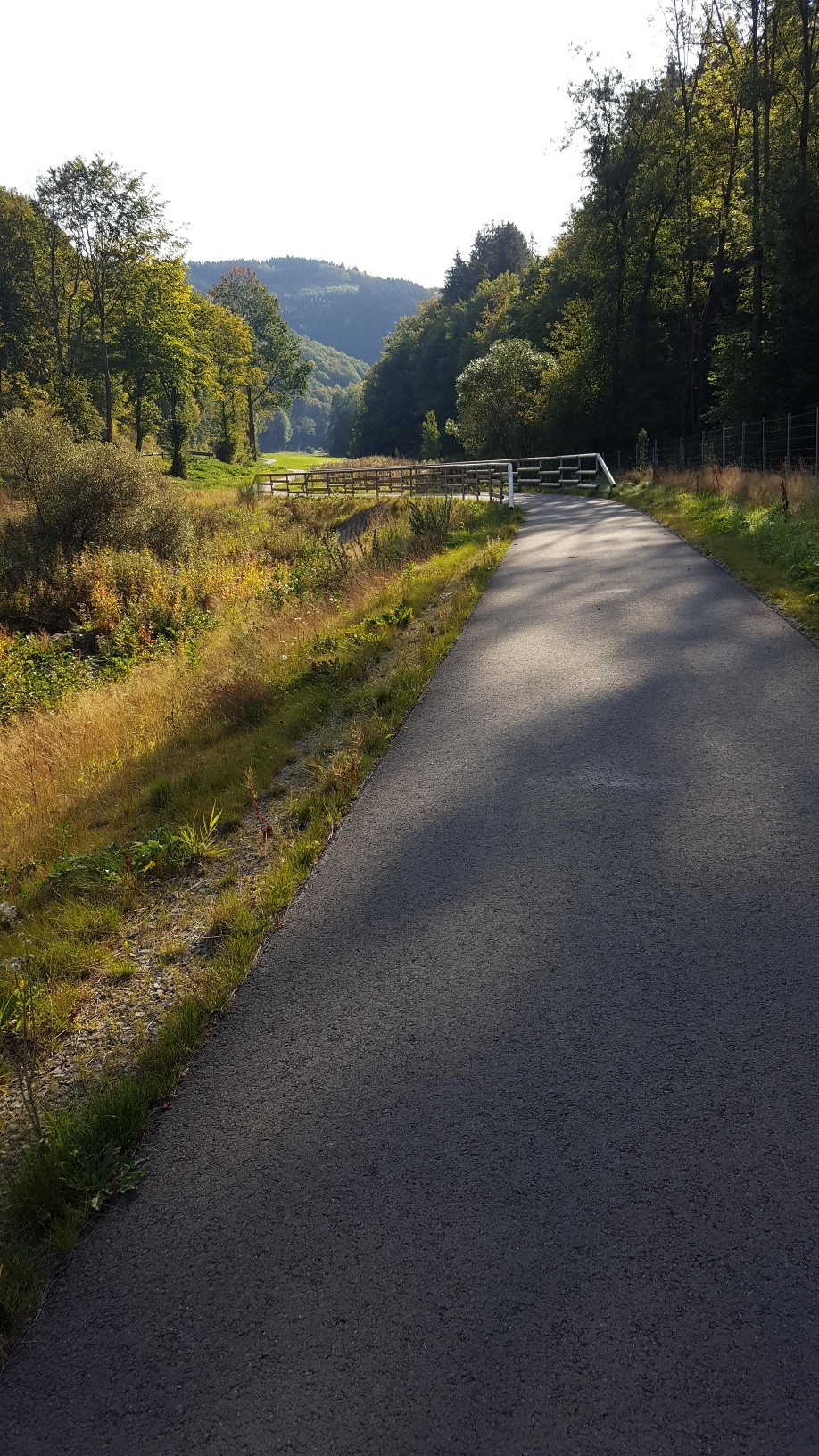 MTB Bergziegen Tour MTB Bergziegen Tour