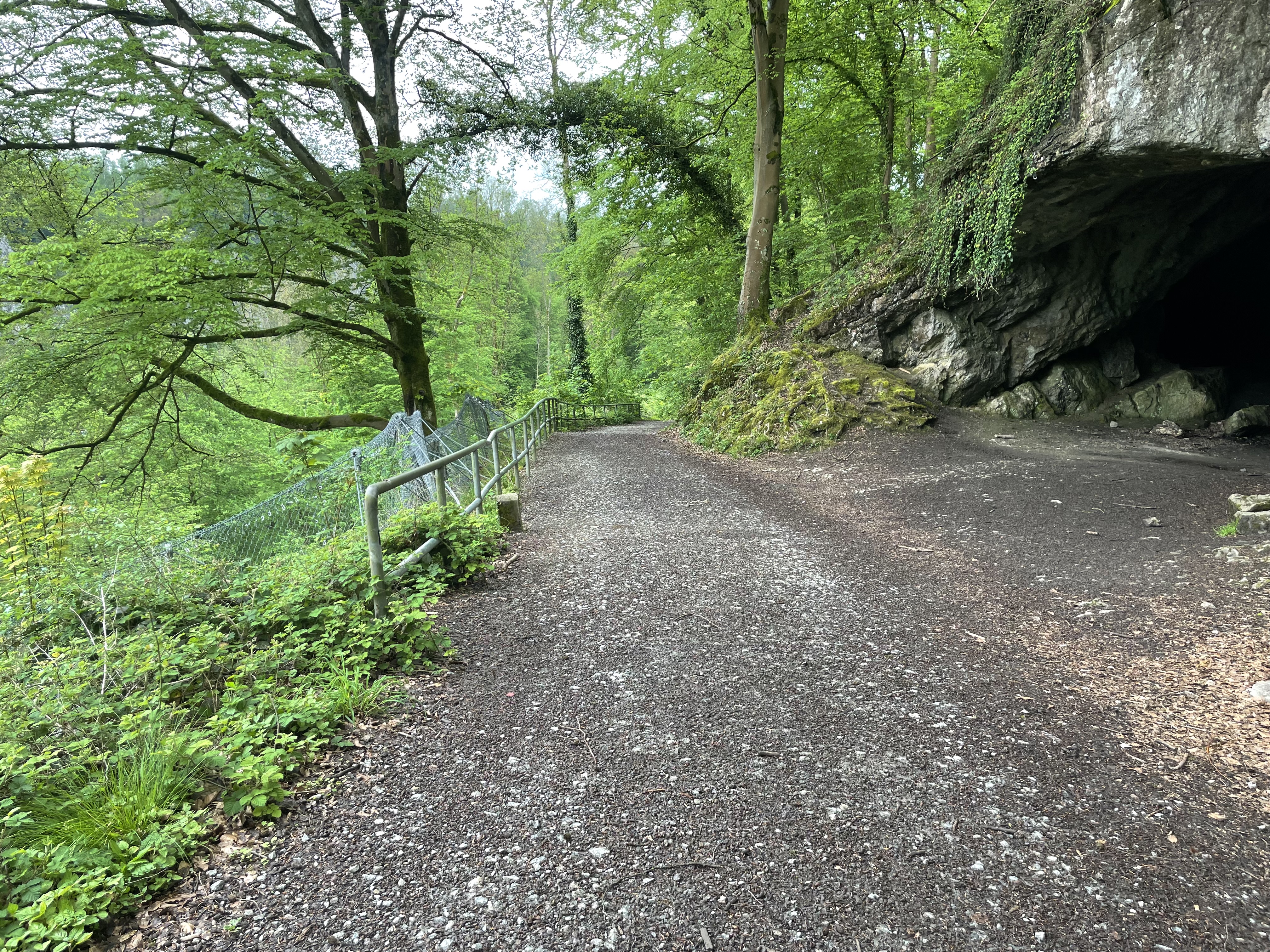Feldhofhöhle im Hönnetal Feldhofhöhle im Hönnetal