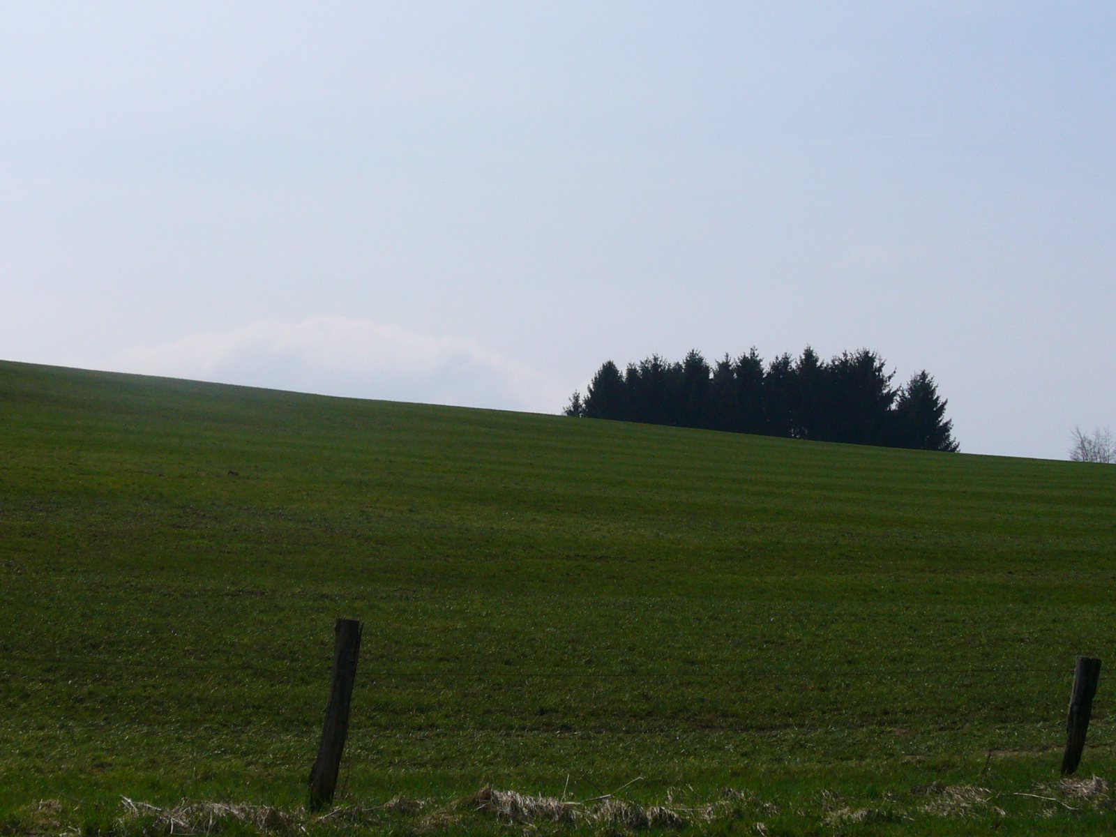 Landschaft Feld
