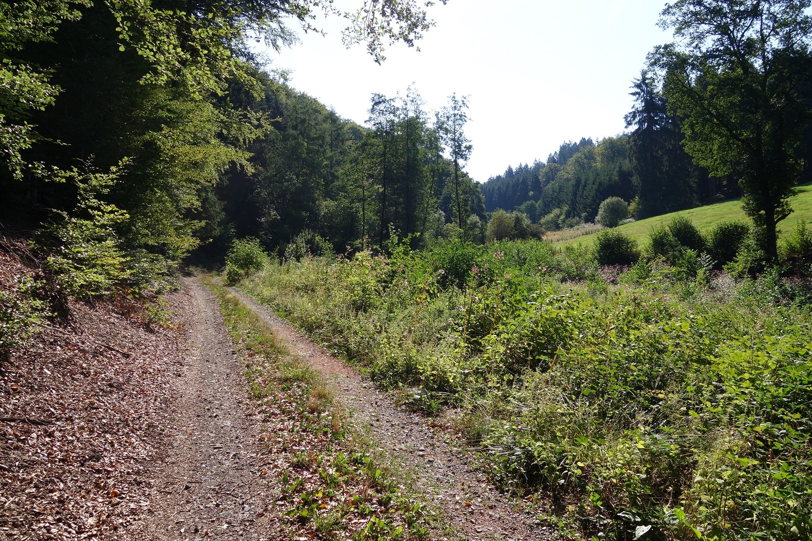 Wegeverlauf entlang der plätschernden Hilmecke Wegeverlauf entlang der plätschernden Hilmecke