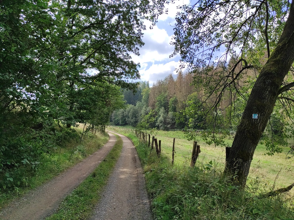 Wegeverlauf des Wanderweges abseits der Talsperre Wegeverlauf des Wanderweges abseits der Talsperre