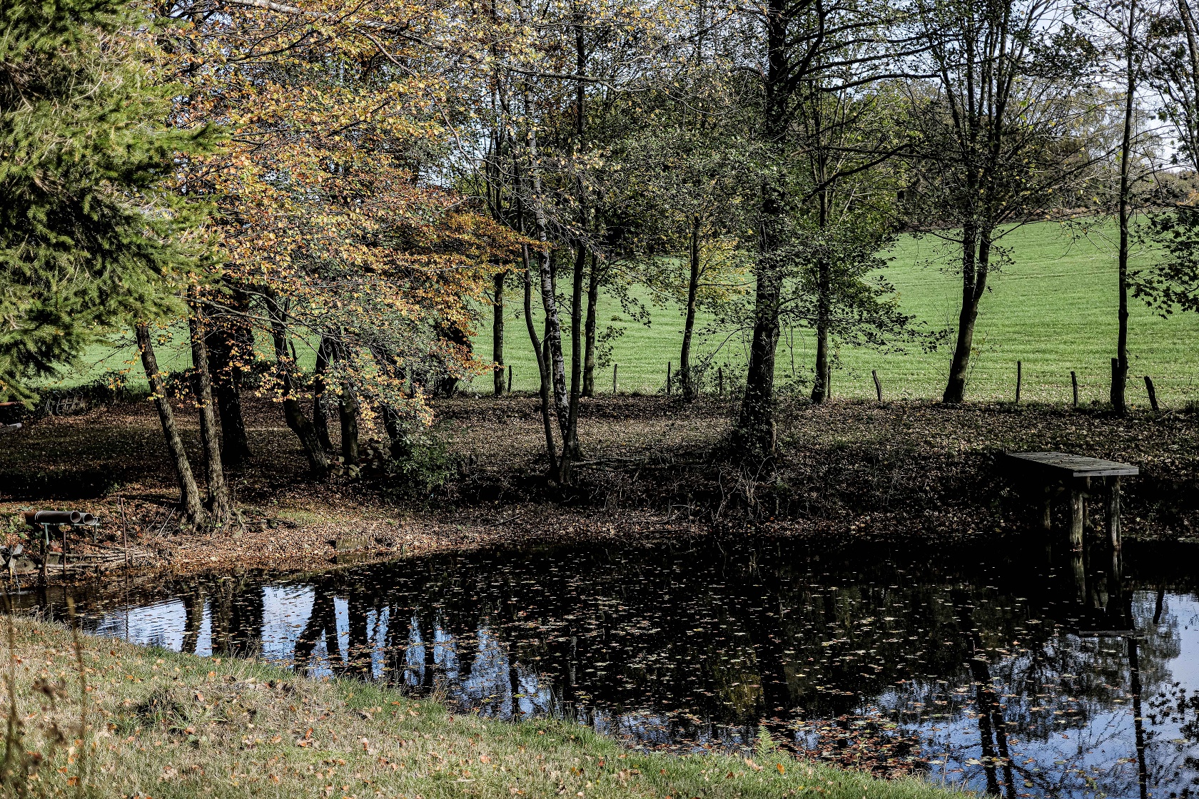 Verträumt wirkender Teich am Wegesrand Verträumt wirkender Teich am Wegesrand