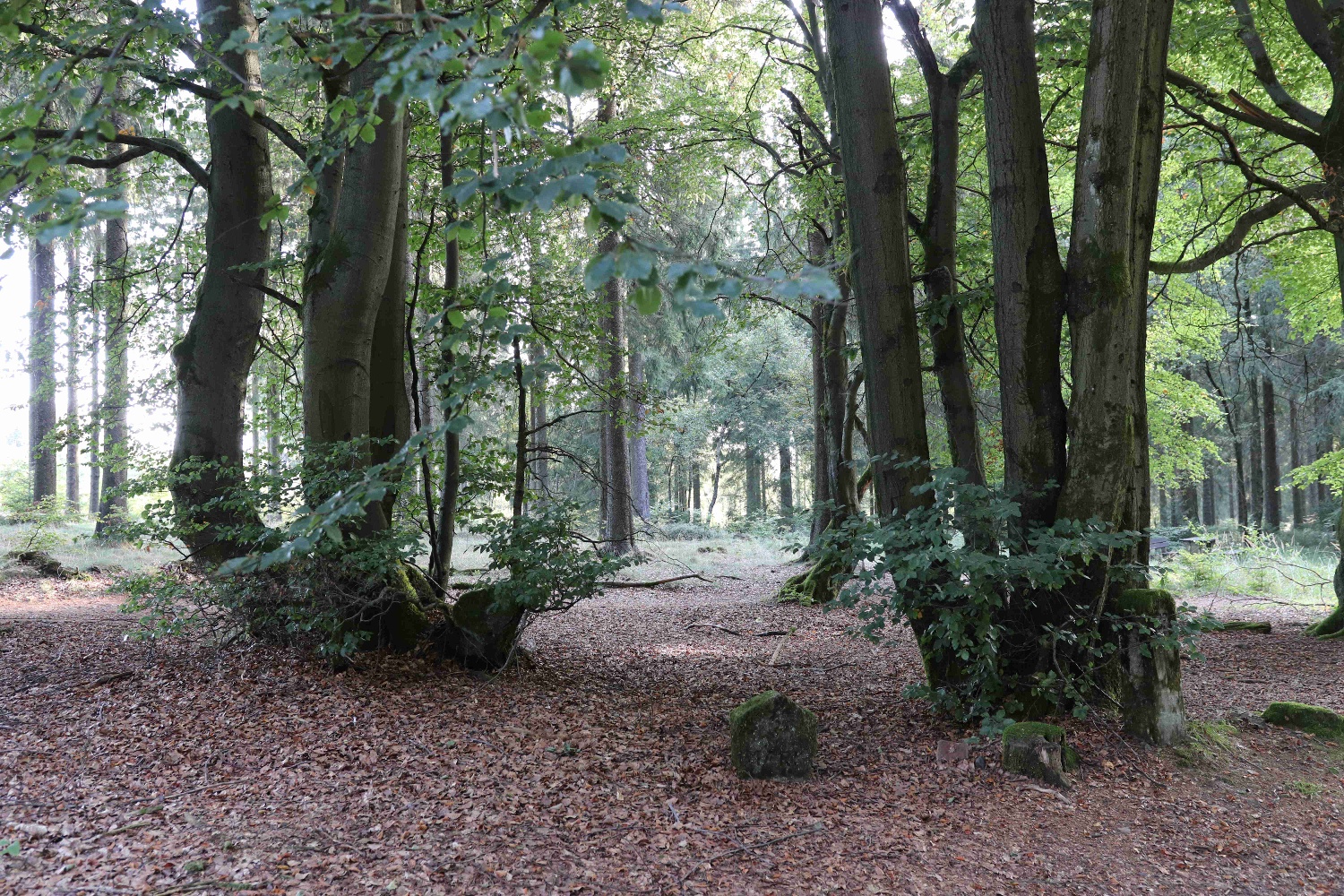 Valberter Rundweg Valberter Rundweg